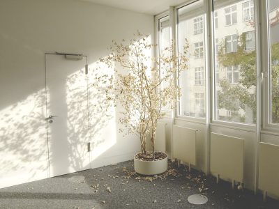 Interieur van Studio 2, 3 en 4 in Vergadercentrum De Plataan